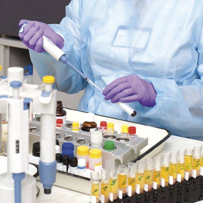 Laborant mit Neotril Neopren Hybrid Lila Einmalhandschuhen beim Arbeiten mit Pipetten, geeignet für medizinische und industrielle Nutzung.