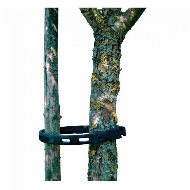 Gummihalteband befestigt einen jungen Baum an einer stabilen Stütze. Elastisch, wetterfest und ideal für den Garten- und Landschaftsbau.