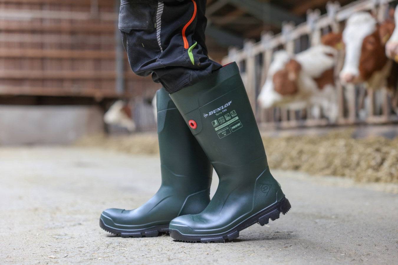 Sicherheitsstiefel Dunlop® Purofort® TerraPRO S5 bis -20 °C