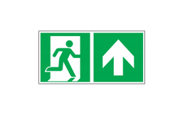 Notausgang / Rettungswegschild gerade langnachleuchtend