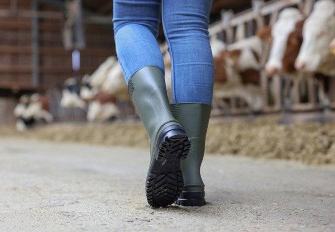 Arbeitsstiefel PVC nora IDRO HIGH - Medasi.shop - 347772