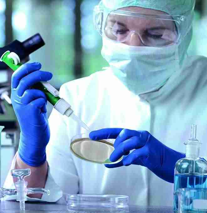 Wissenschaftler in Schutzkleidung arbeitet im Labor mit Petrischale und Pipette zur Durchführung mikrobiologischer Tests.