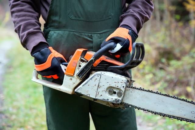 Kettensägenhandschuh Forester - Medasi.shop - 297527