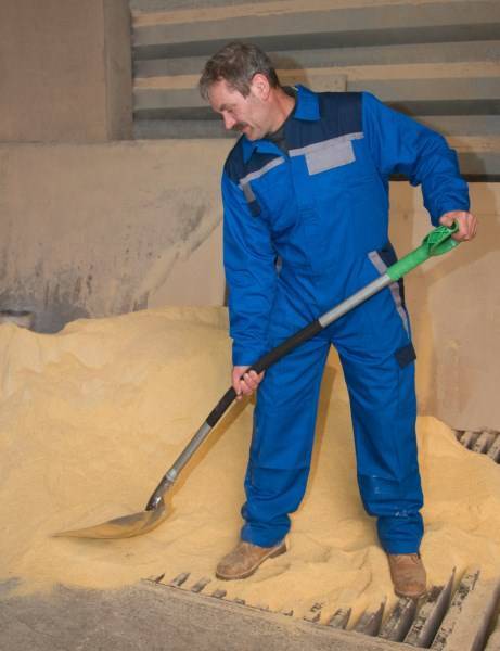Ein Mann in blauer Arbeitskleidung schaufelt gelbes Schüttgut.