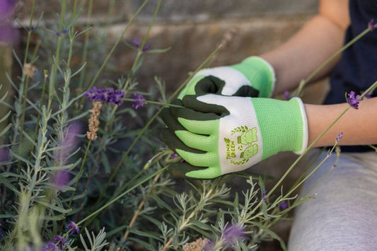 THINKGREEN Sprout Kinderhandschuh aus Recycling-Polyester mit Naturlatexbeschichtung beim Lavendelschneiden im Garten.